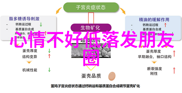 字里行间的社交诗