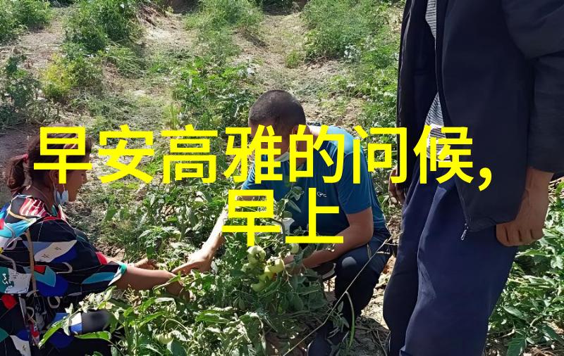 影视娱乐-红毯上的王者男明星的光芒与挑战