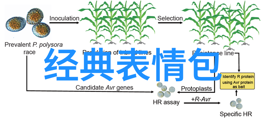 充满阳光的正能量社群聚焦生活的美好瞬间