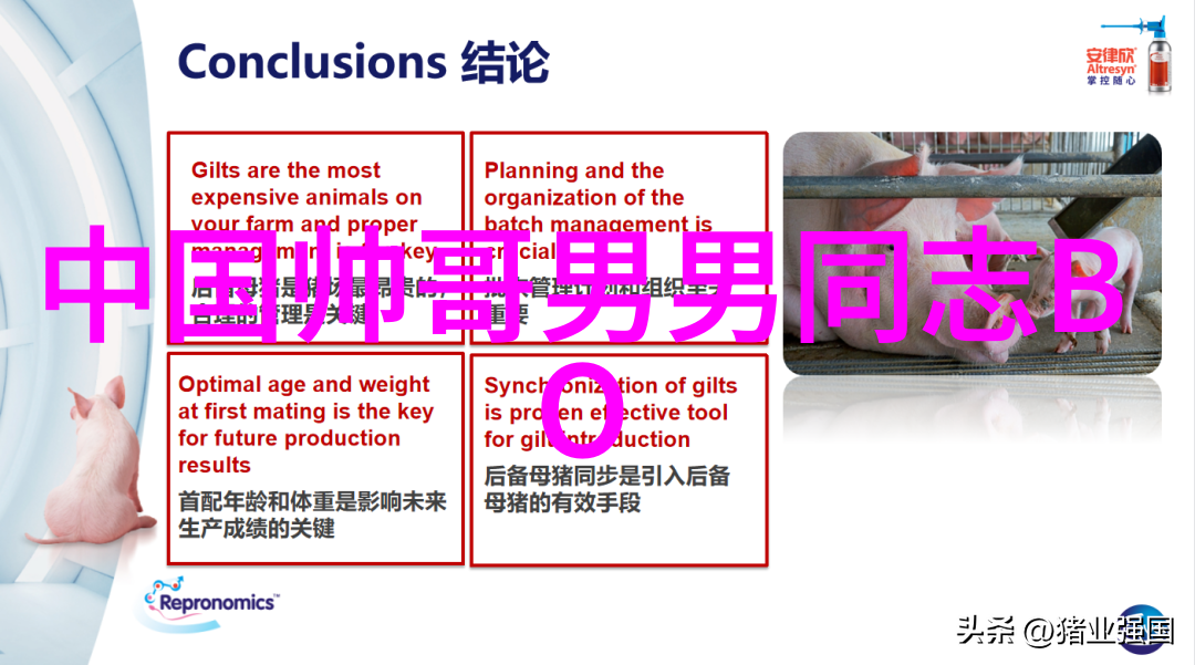 高情商暖心早安问候语 - 情感共鸣的晨曦如何用温馨的话语打造和谐日常