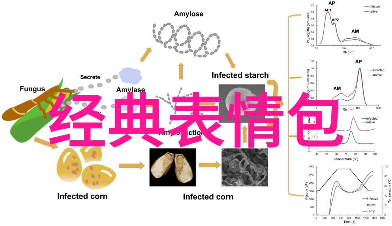 男生把坤巴扎进女生的坤巴里Q的趣事发生了