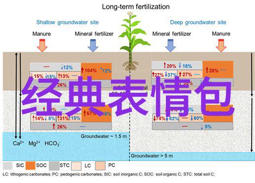 星光闪耀的表情大师