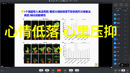 吴彦祖赤裸打拳秀6块腹肌 大秀本钱