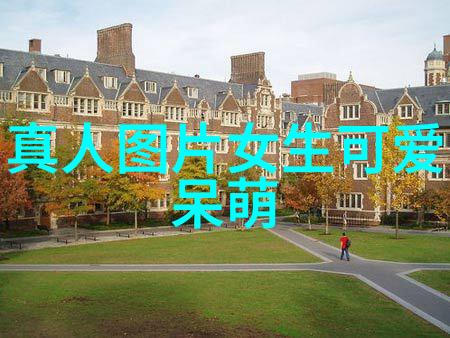 男子气概帅哥的飞行之旅