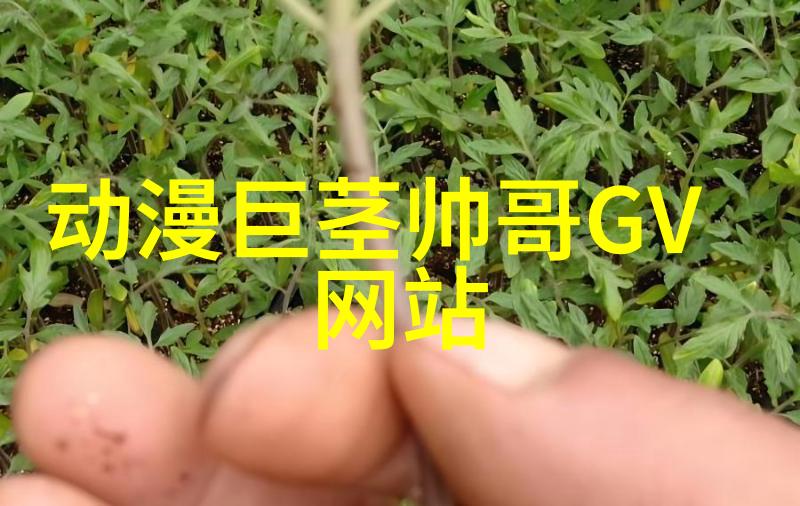 公交车车站最后一排被多人玩我是怎么发现公交车站最后一排被多个人玩的