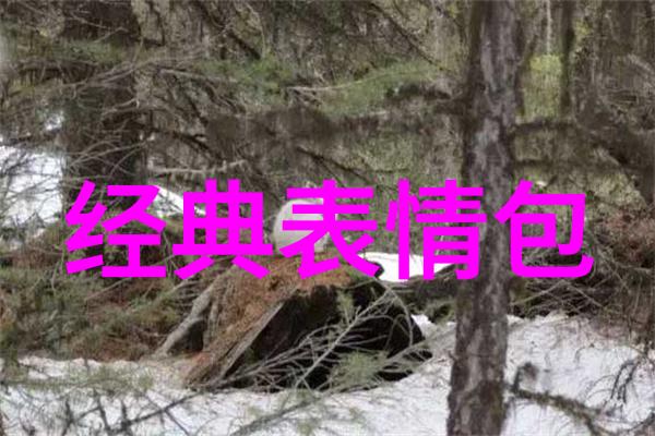 绽放的白雪写雪景经典短句的艺术之美