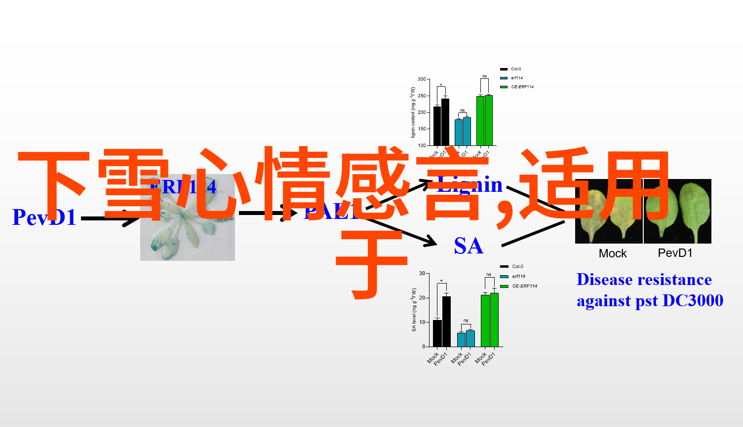 操美女我怎么就被这美女的笑容给操了