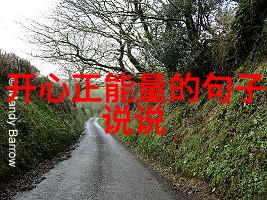 色彩斑斓的童话世界儿童卡通人物的魅力与教育价值