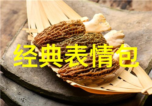 在不同的文化中12月24日有哪些独特的庆祝方式