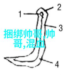 网页深渊恐怖视频的末日