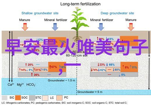 人生的足迹一段段感悟的篇章