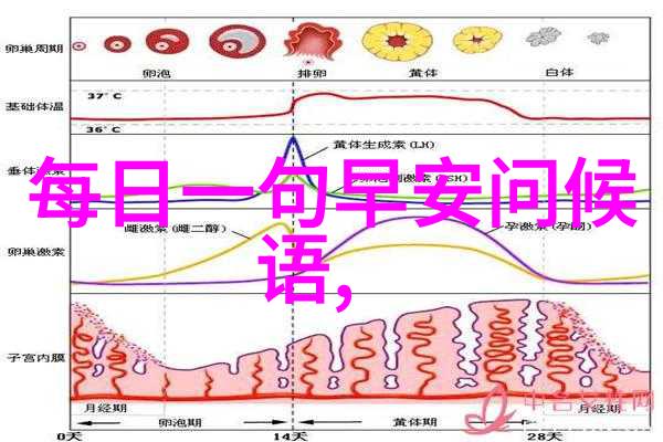 微信交友新途径同城好友一键找到