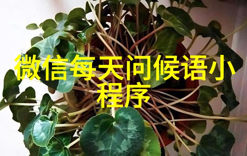 回族的传统节日-清明时节回族人庆祝丰收与缅怀先祖