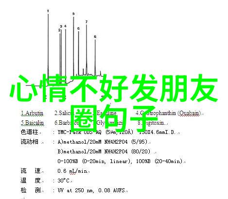 龙套的自我修养-边缘之光龙套演员的职业成长与艺术探索