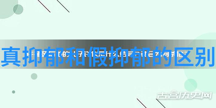 姜可TXT - 解密姜可世界深度探究其文本创作的魅力与影响