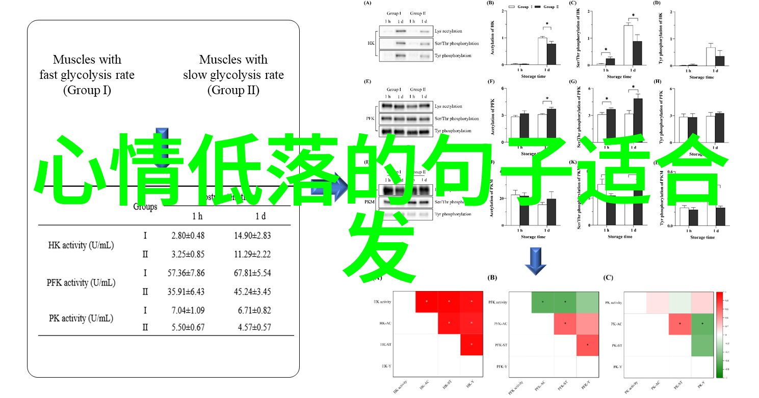 在忙碌的一天开始前我们该如何用心感受并传递友谊与牵挂呢