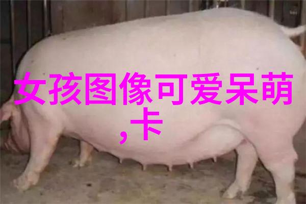 李小璐带甜馨参加聚会 其父母也罕见出镜 66岁张伟欣慈祥优雅(张伟欣多大生的李小璐)