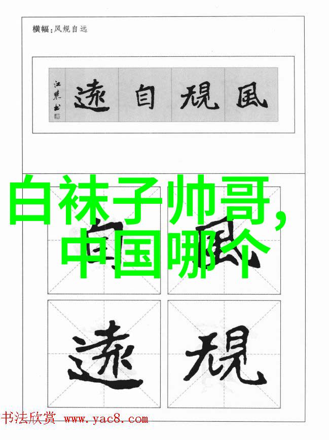 看着镜子我是怎么要你的视频总结揭秘心灵深处的迷雾与真相追寻