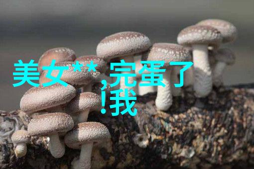 动漫文化-探秘动漫界的帅哥们从二次元到现实世界