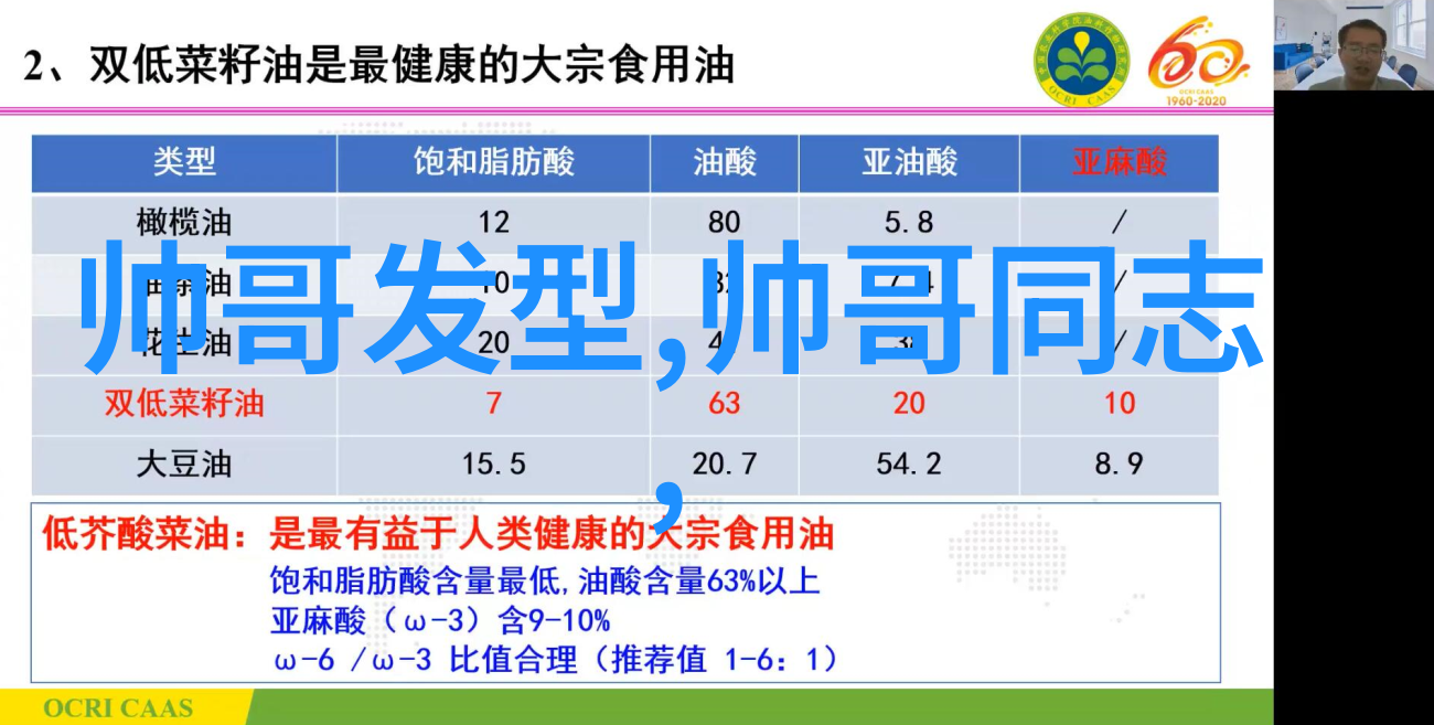 听起来很可爱的歌曲我怎么会不喜欢这首让人心动的小曲呢