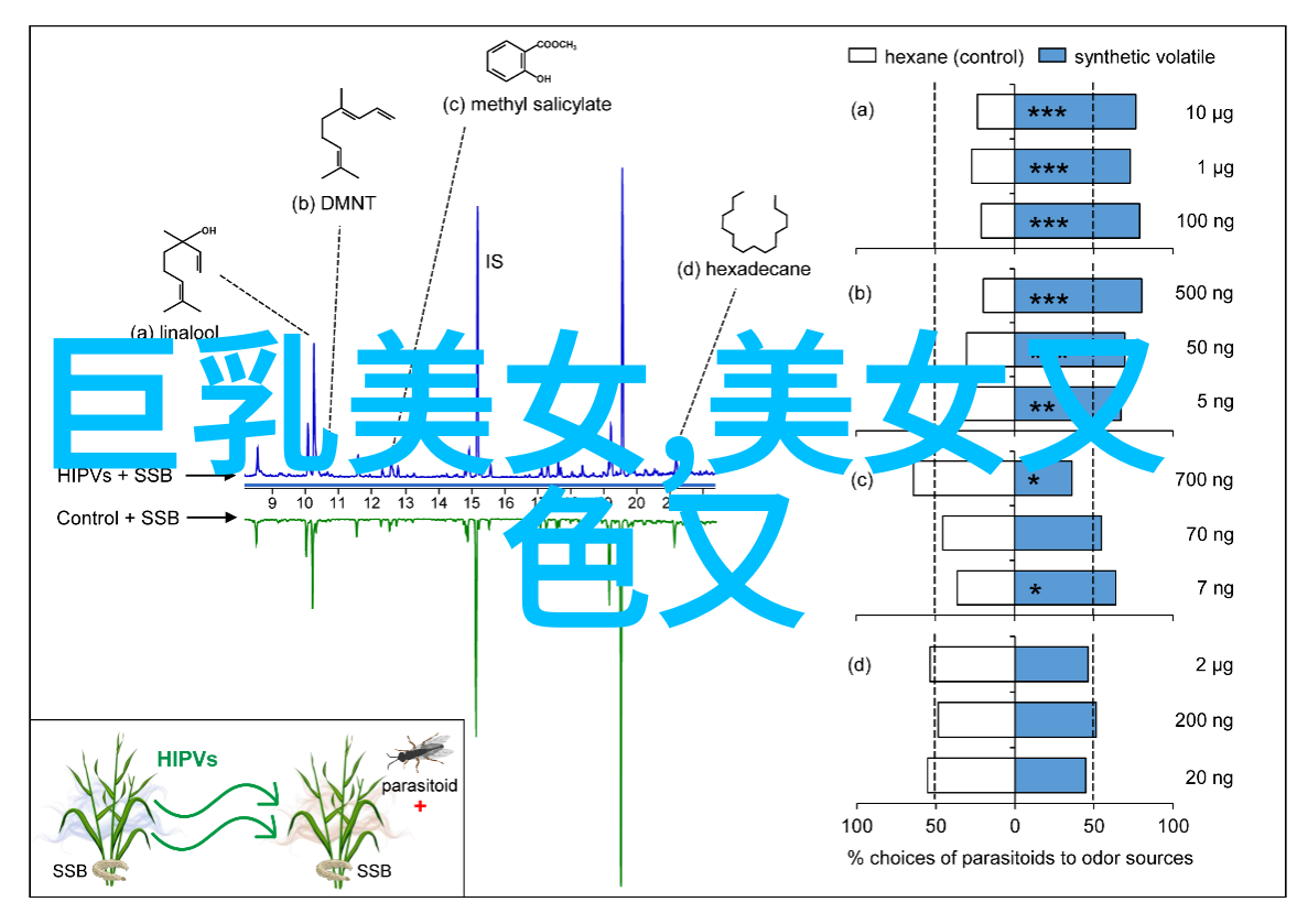 绵薄纷飞的诗篇冬日之梦