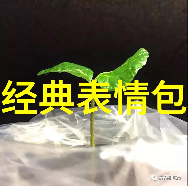 古装电影中的帅哥角色有哪些经典形象