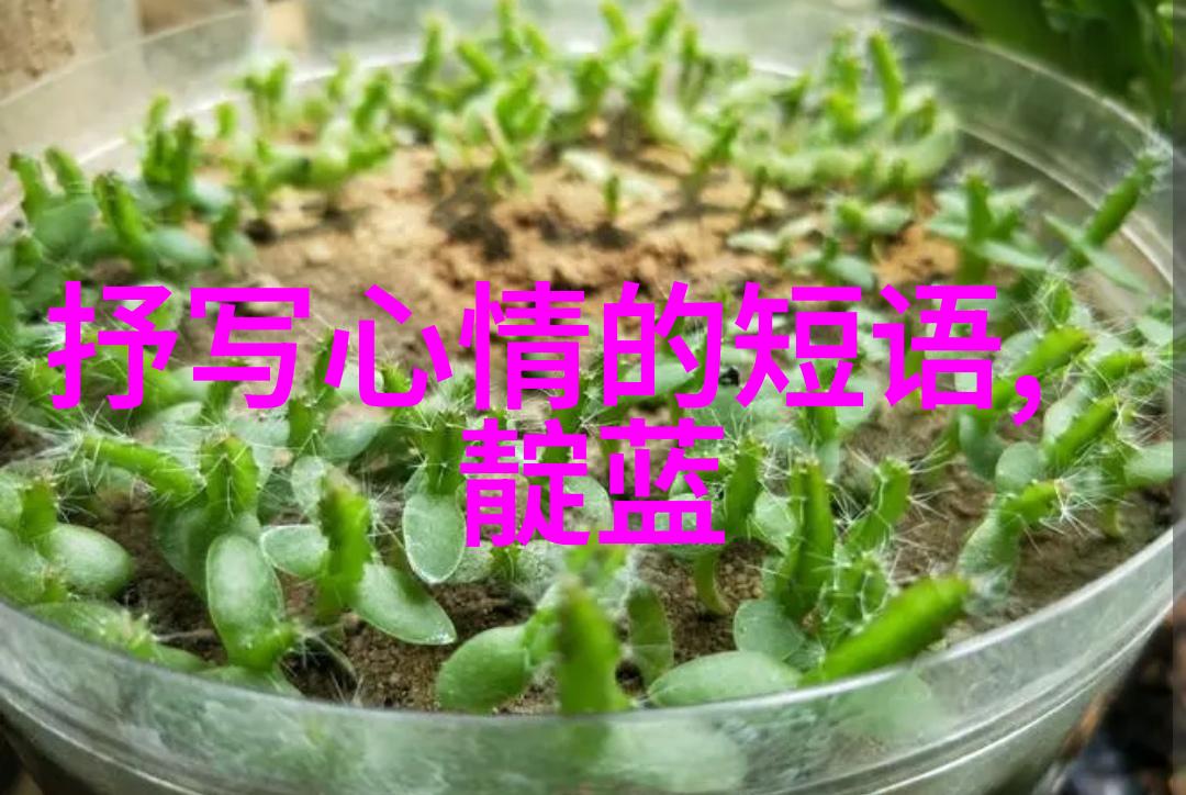 100个超好听的qq女生网名(最好听的qq网名女生版)