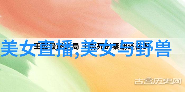 技术交流-LSP必备的QQ群体连接开发者与知识的桥梁