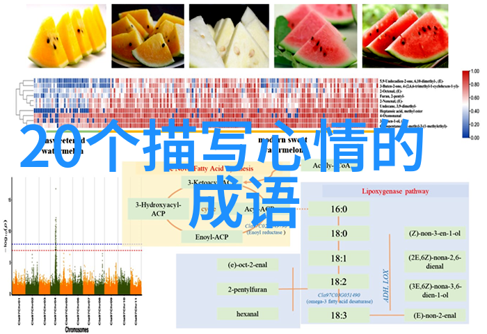 修真世界方想之旅探索神秘的修炼艺术