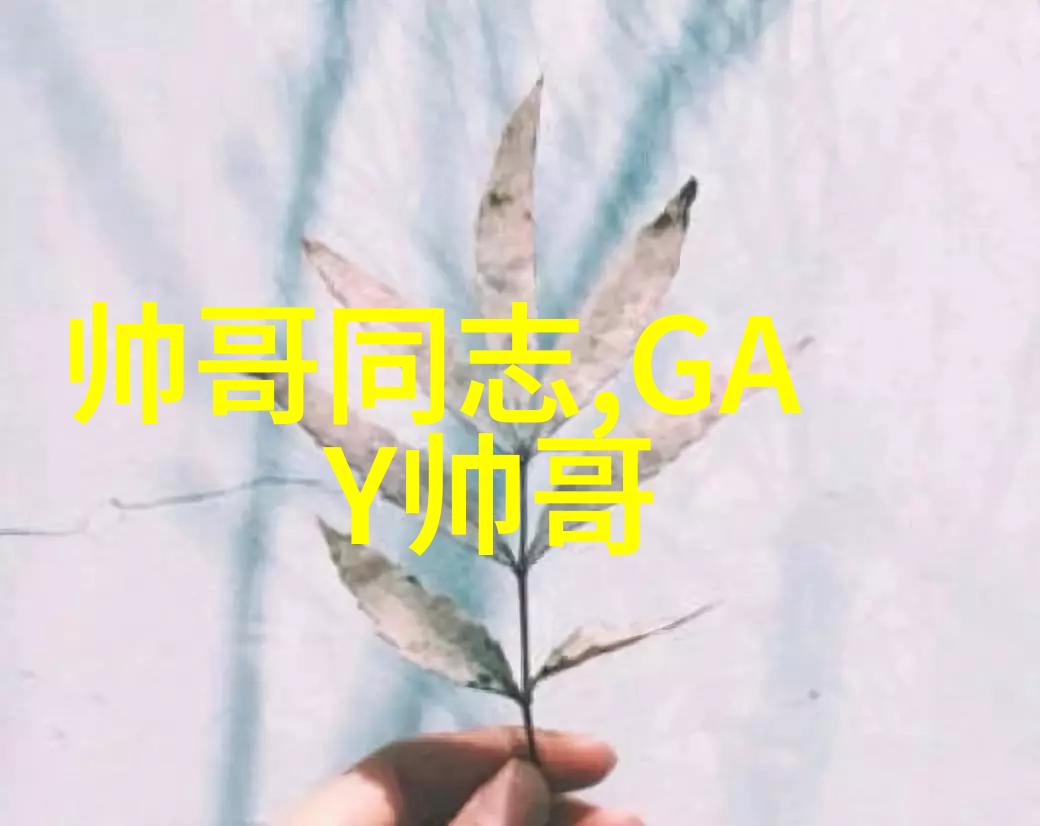 美女环绕的幻境探索游戏中的魅力与挑战