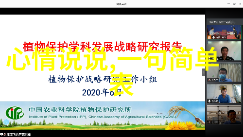 如果我想了解更多关于这个节日背后的故事我应该从哪里开始查找信息