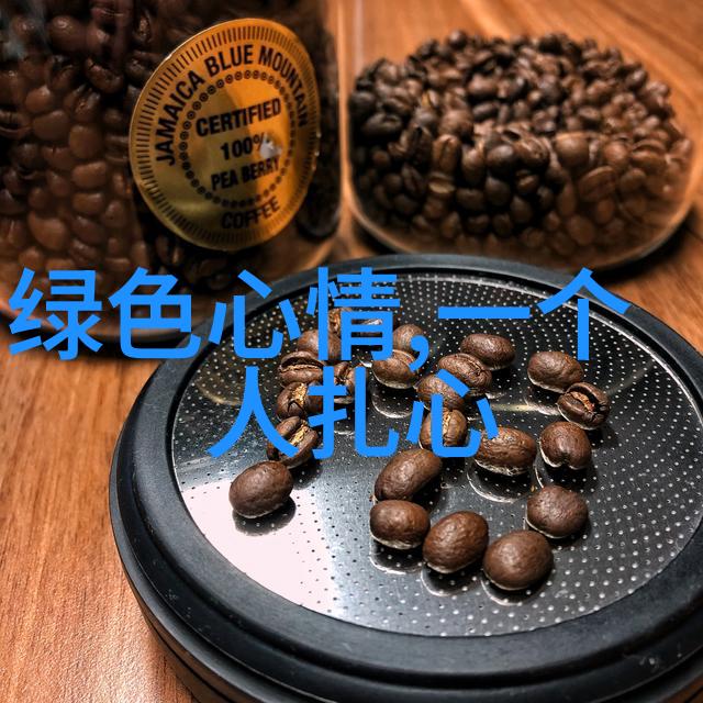 小说青瓷我与那本破旧的小说里的青瓷一个书虫的故事