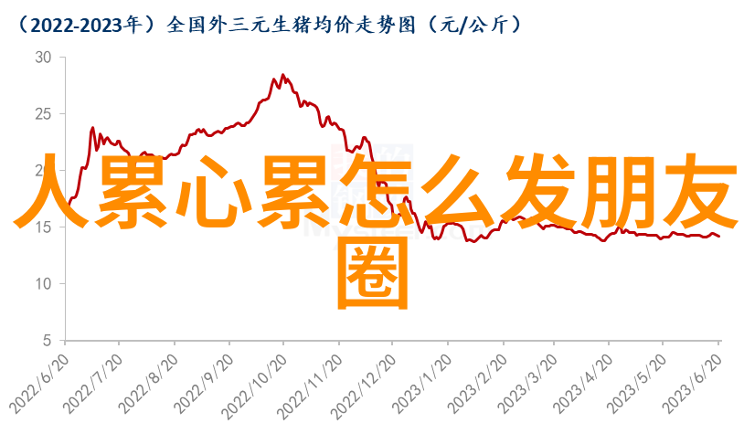 春节团圆大作战揭秘家里最神秘的年夜饭配方