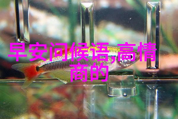 103个记忆伤感句子说说心情(关于记忆的悲伤网名)