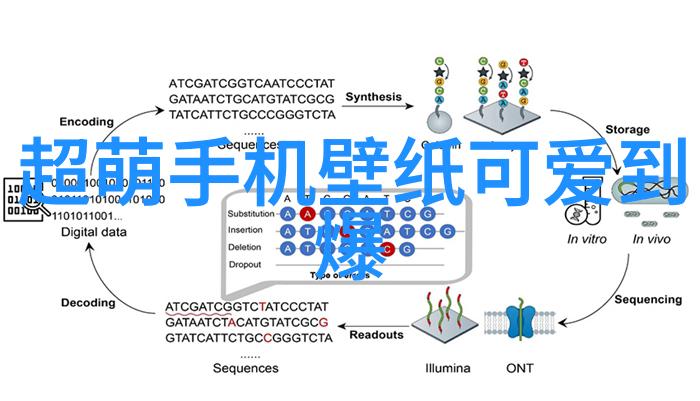 华丽明星光环男明星的闪耀魅力