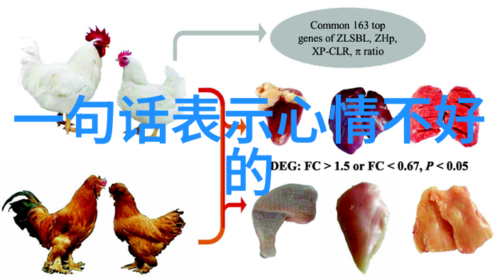 我的圣诞节日期揭秘如何在忙碌的工作间隙规划完美假期