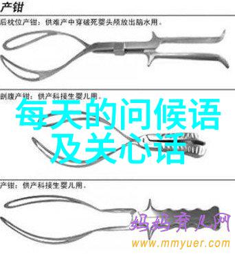 社交互动平台群聊社区的网络化交流空间