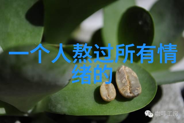 宫廷暮色中的孤芳自赏大龄宫女的秘密花园