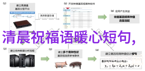 神秘案件解密明星大侦探的第一步