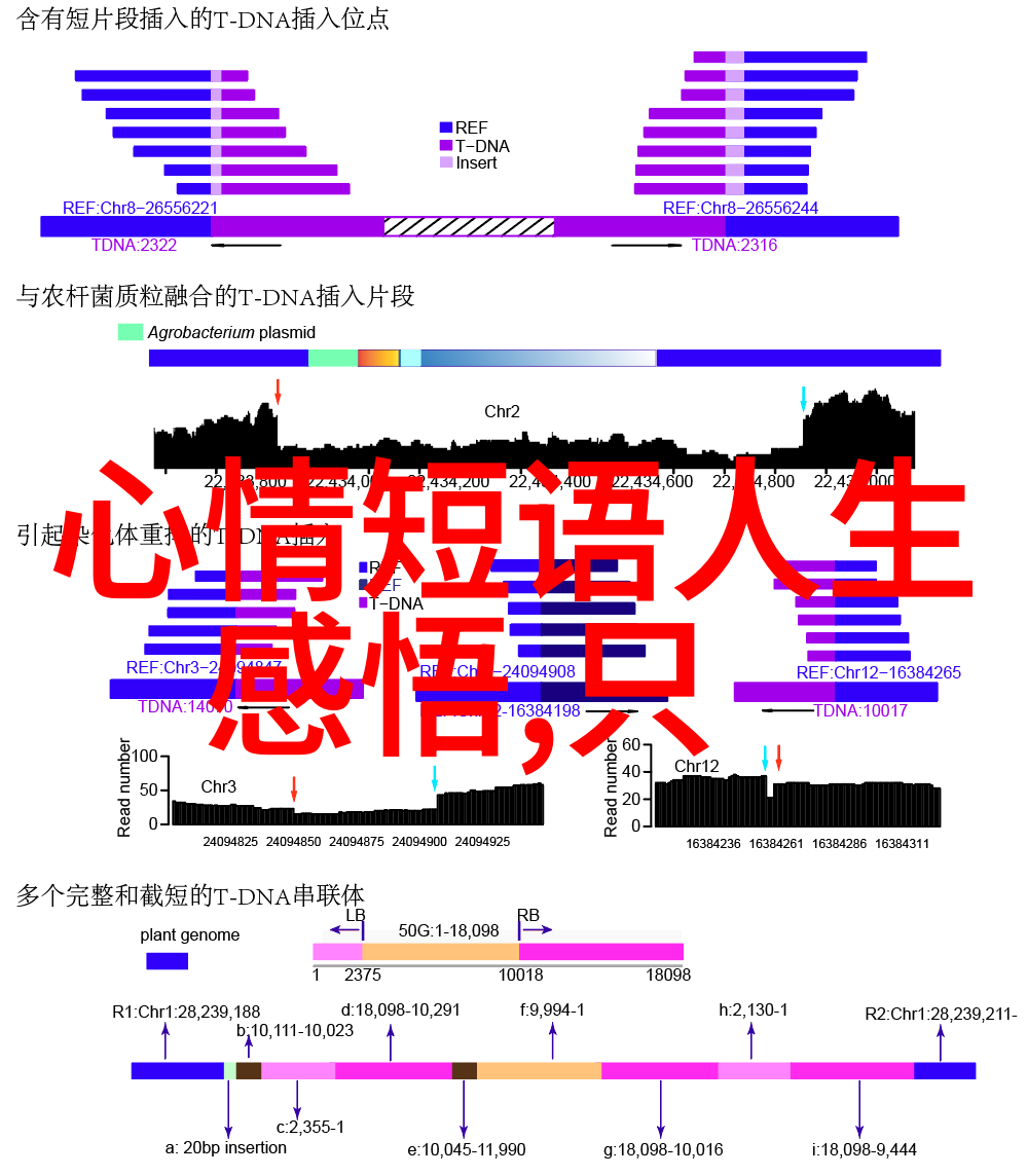 少女心爆棚的简笔画究竟隐藏着怎样的故事呢