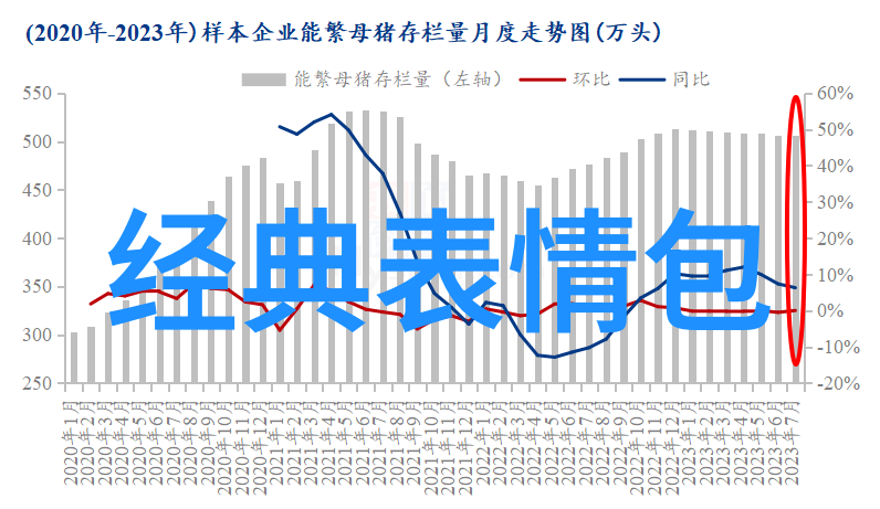 狂舞女神美丽与激情的交响