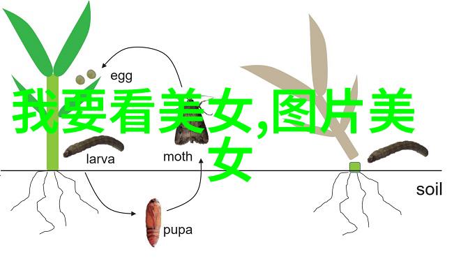 群聊表情包我的日常语言艺术馆