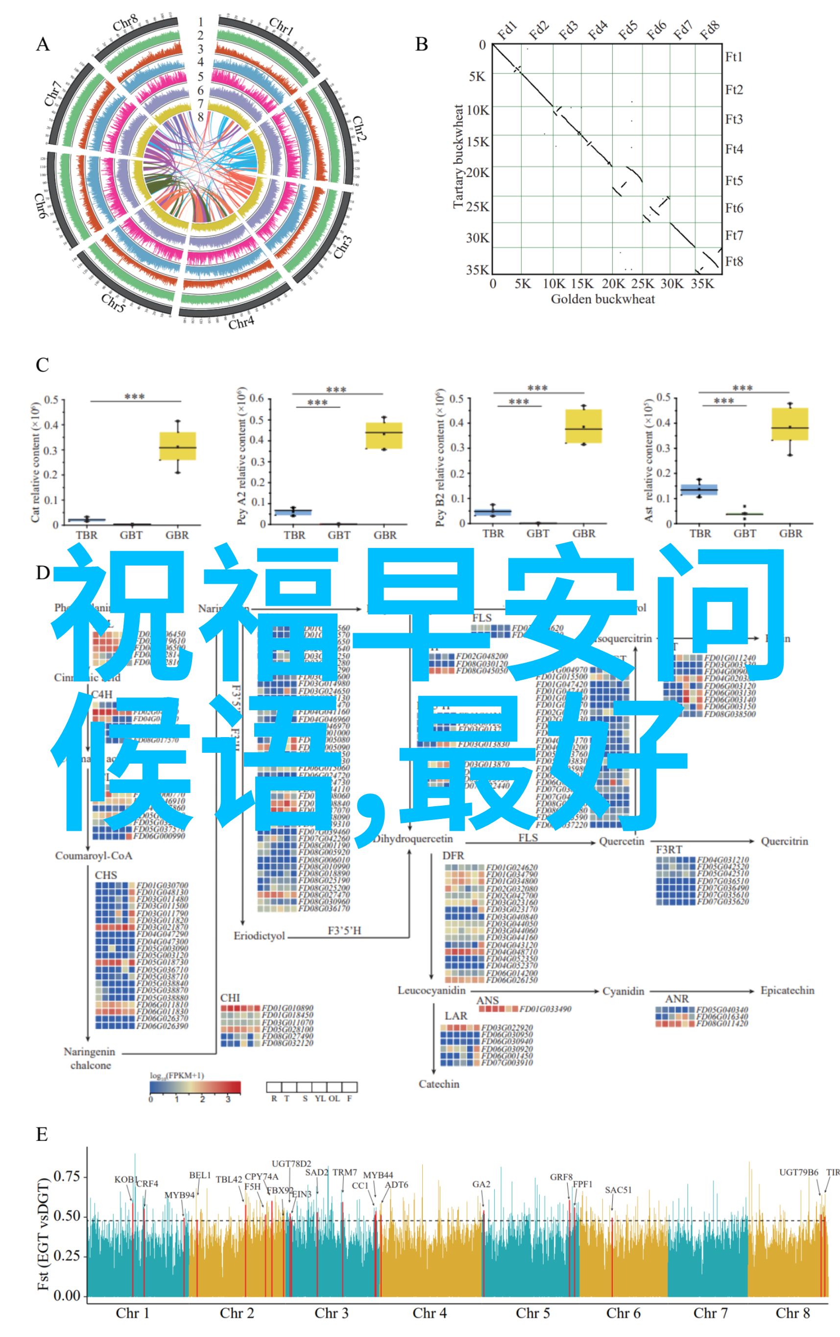 哼懒的理你卡通动漫画中的戏剧化冲突