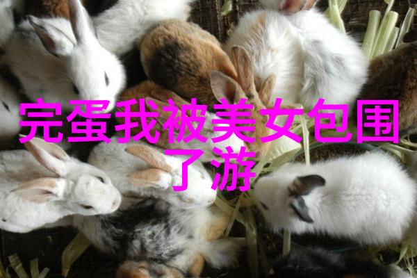 世界最恐怖电影可爱猪头