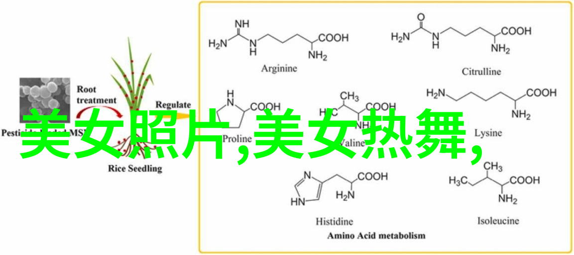 男神如画明星风采照的魅力