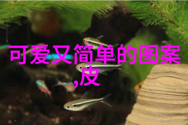 圣诞节前夜全球如何庆祝这个特殊的日子