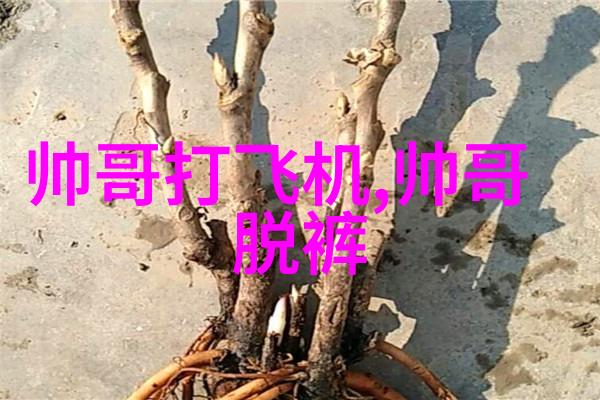 炽热的墨迹2022年最耀眼文字控画面