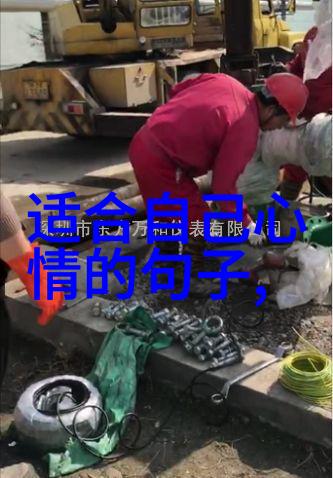 激动风暴音乐节盛况