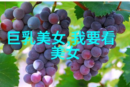 11月11日探索全球纪念日与节庆文化的多样性