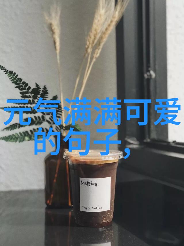 启明星二号探索未知的边界启明星二号航天器的奇迹之旅